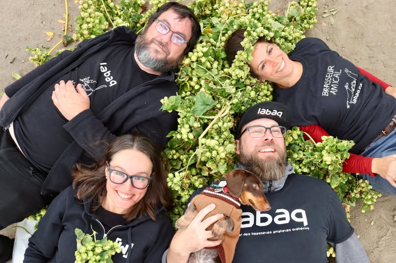 Quatre membres de LABAQ couchés dans le houblon, avec un teckel